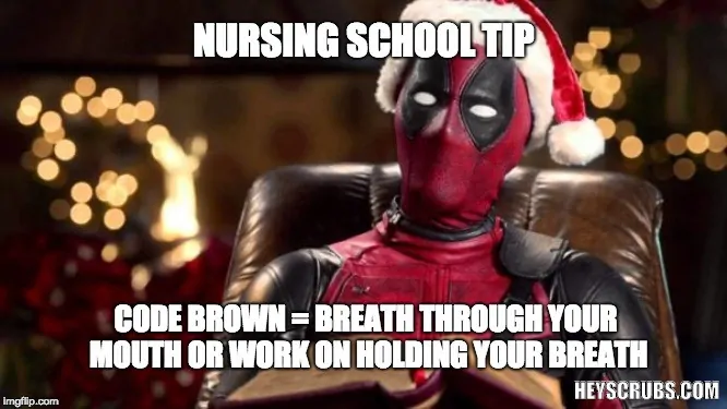 nursing school memes 14.1