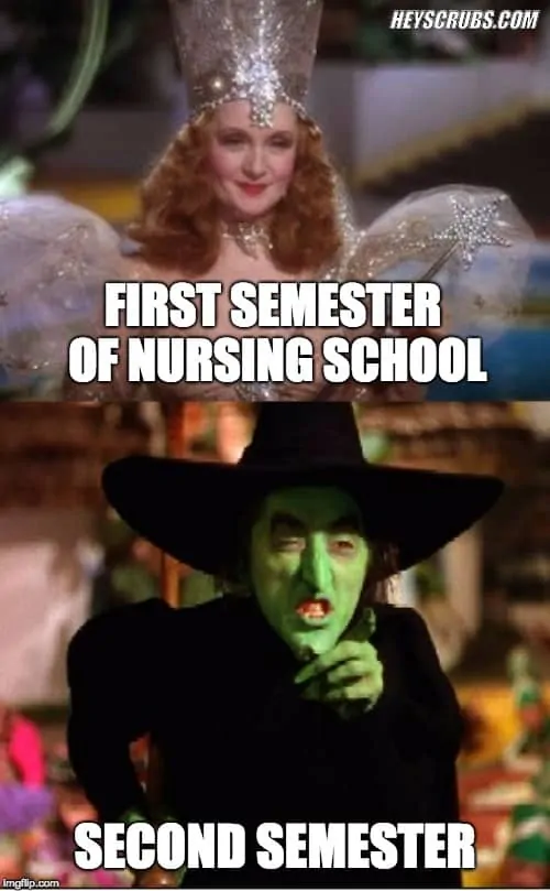 nursing school memes 17.1