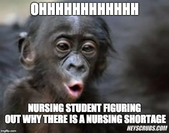nursing school memes 18.1